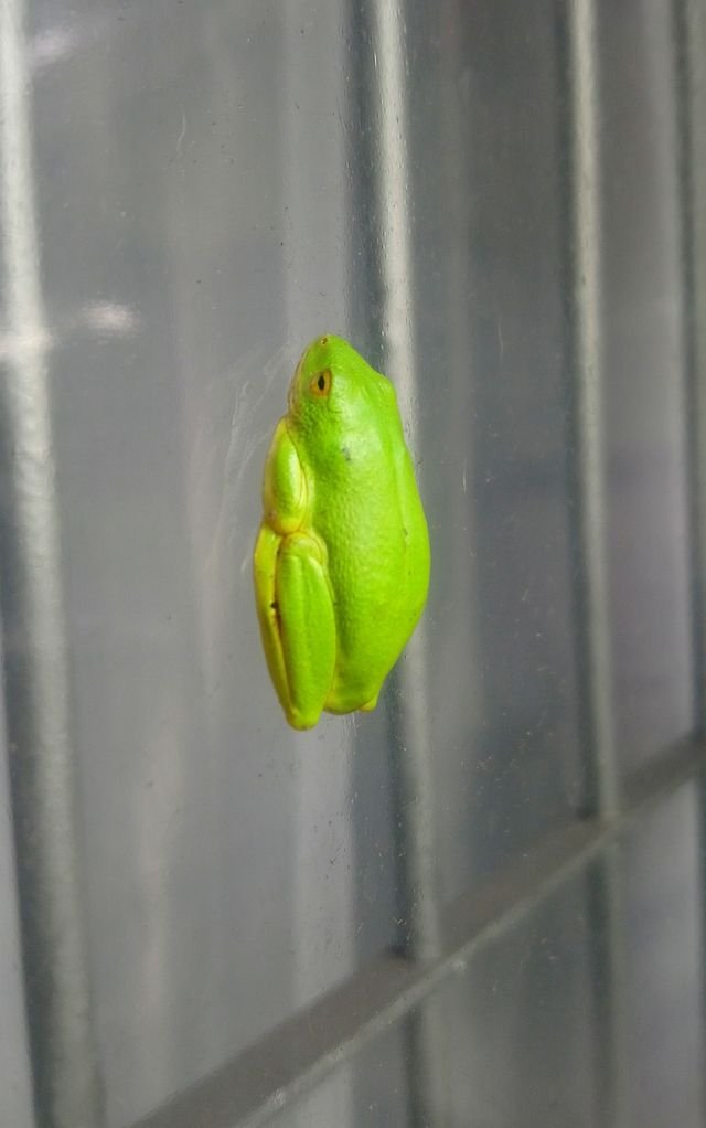 23bbcdfc164eafd680a6dab2b3d9fb24