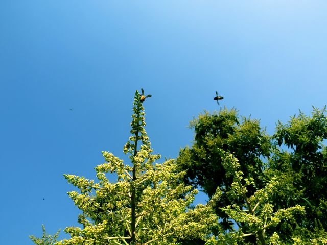 2613cfc005f190e29f0952964b11b323