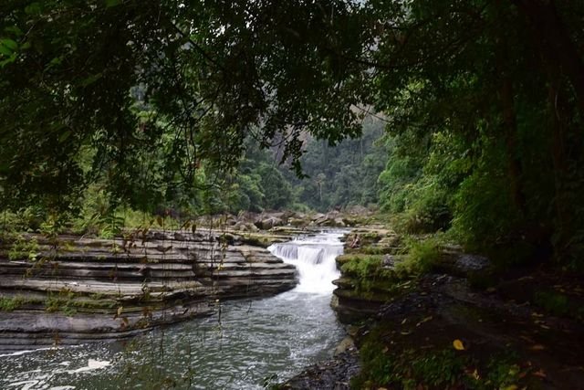 2651ccc430f1181bd3aab7ca6221417f