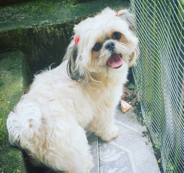 2699292896ac200644601180d103909a