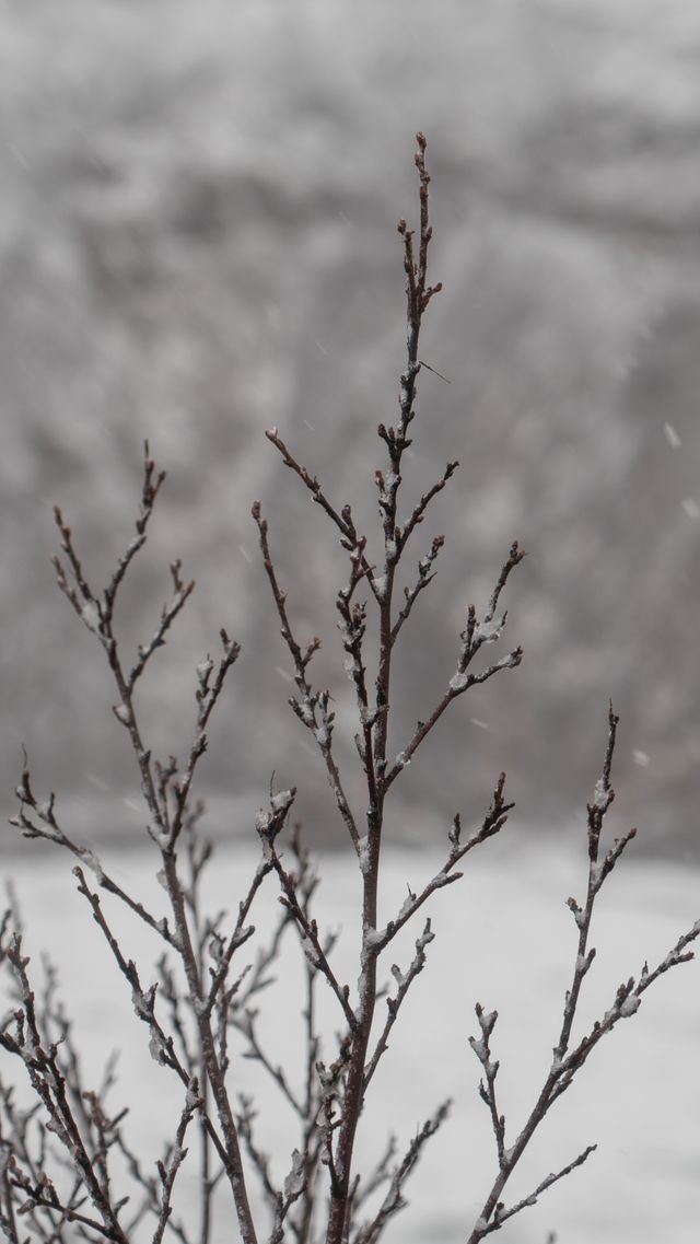 29aa265817ccfe52f56c7760f027df74