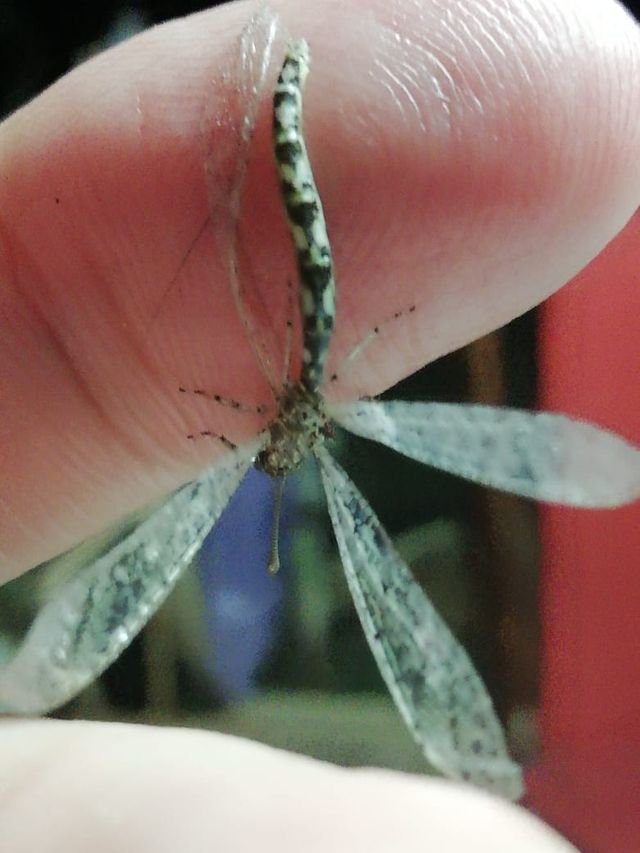 2a70a06798e48a9bf9c5c36cdec051aa