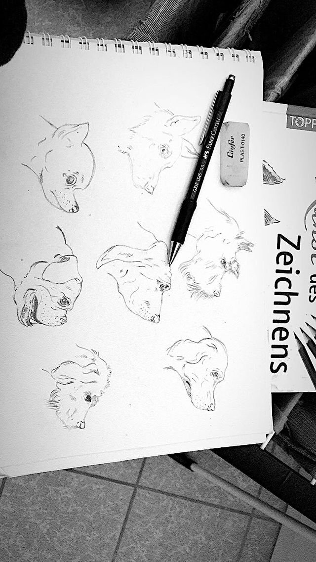 2b878c206d44bfde92c9b317577f648c