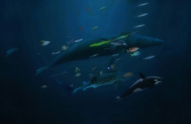 2be6f8e9585fd9a2d298a2028b5e43e7