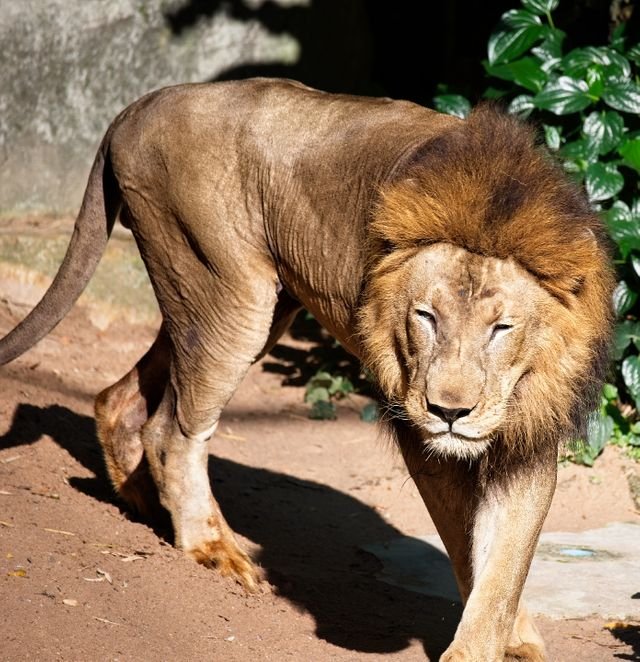 2ff9a8ac9bfed508663025877fab145a