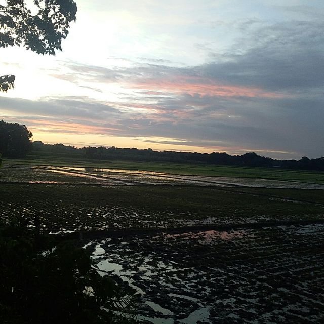 306e17d75e72f3166f0c2c2e2137b461