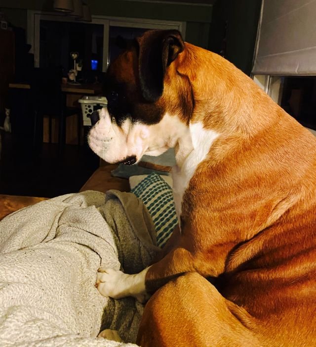 30f77446252223f2f6a877a73885d30e