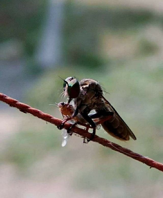 322a10bd7664f044bb398440c3bb9aae