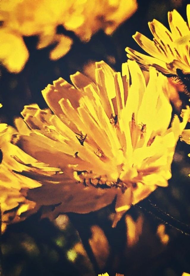 37c35c2202f00b9f543a4d64955cfbb5