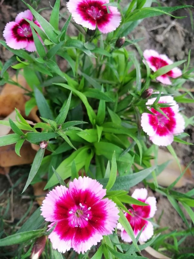 3d88d93ed5dc18e09cd1ec36c293929a