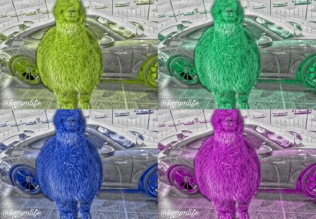 3e0d23077948f0a477eb8370b76fe257