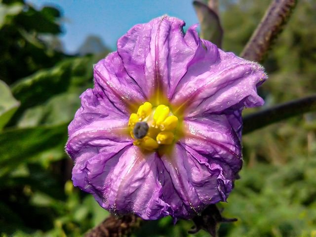 3fa810478f0cdf00681e24e35b00e8b5