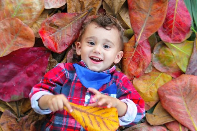 40241babba9ffe006c880f4e315df438