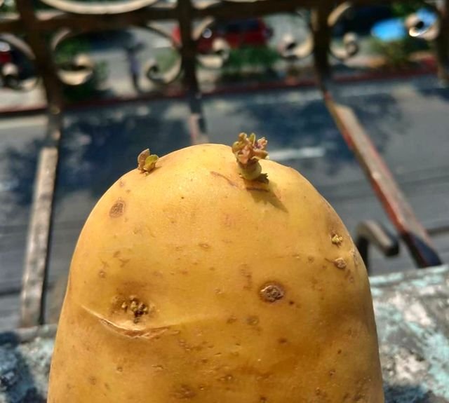 45adbd1ee86213eb19e8cfe0a8f6b994