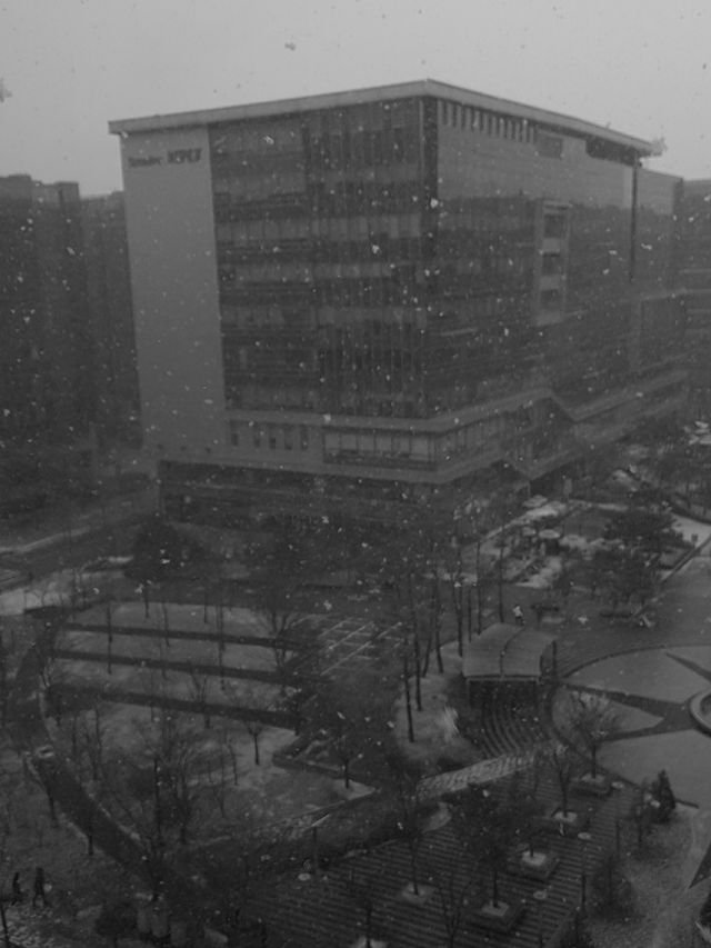 478af74aa914c23e5bdec2f9a53c99a9