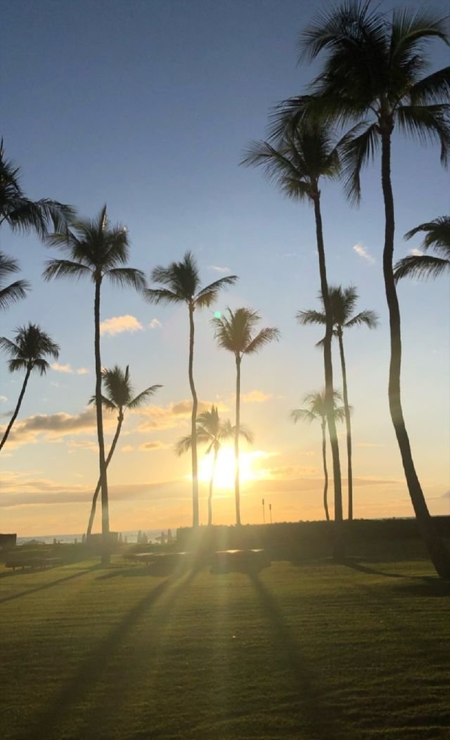 48cec05dd73106cbb14882ff17492b46