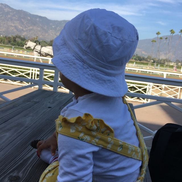 4af24999da9a6a6c577ef827c0ecb76e