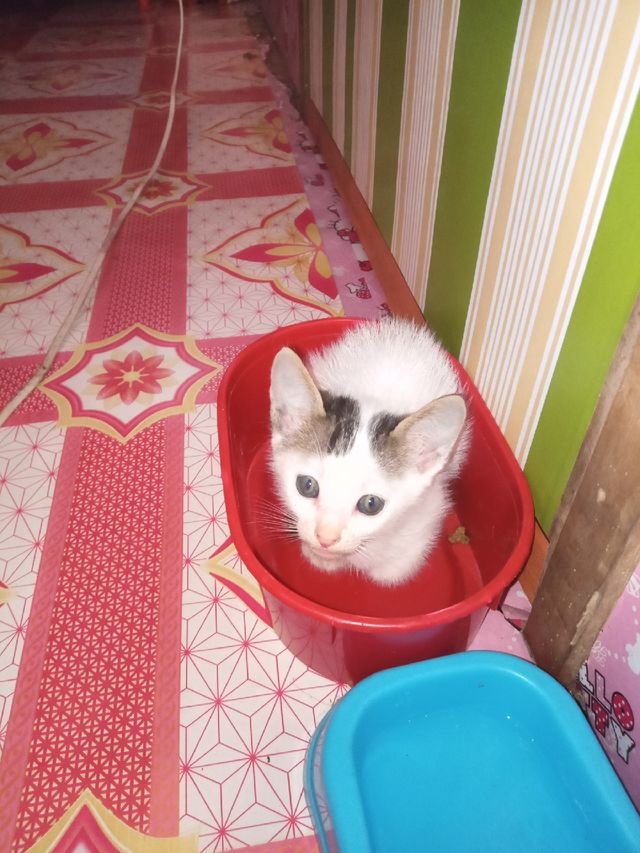 4e1e5f80290afabcd9e219c38ba9c0e2