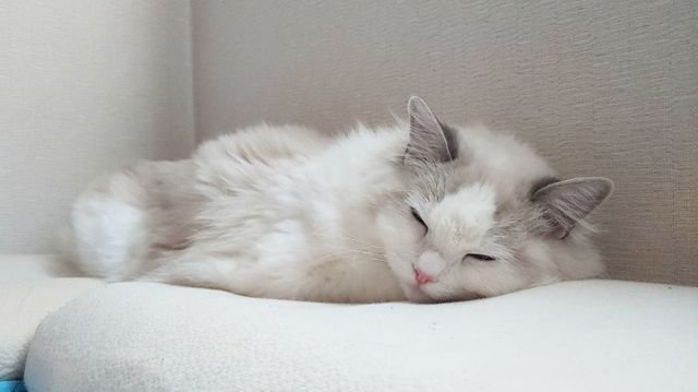 50c54531242bd8d2b604e7523ce22201