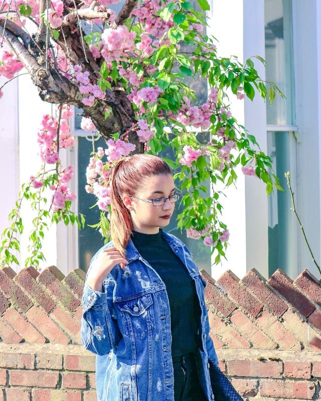 51d7bcc080b280ddcc969a365b13bf57