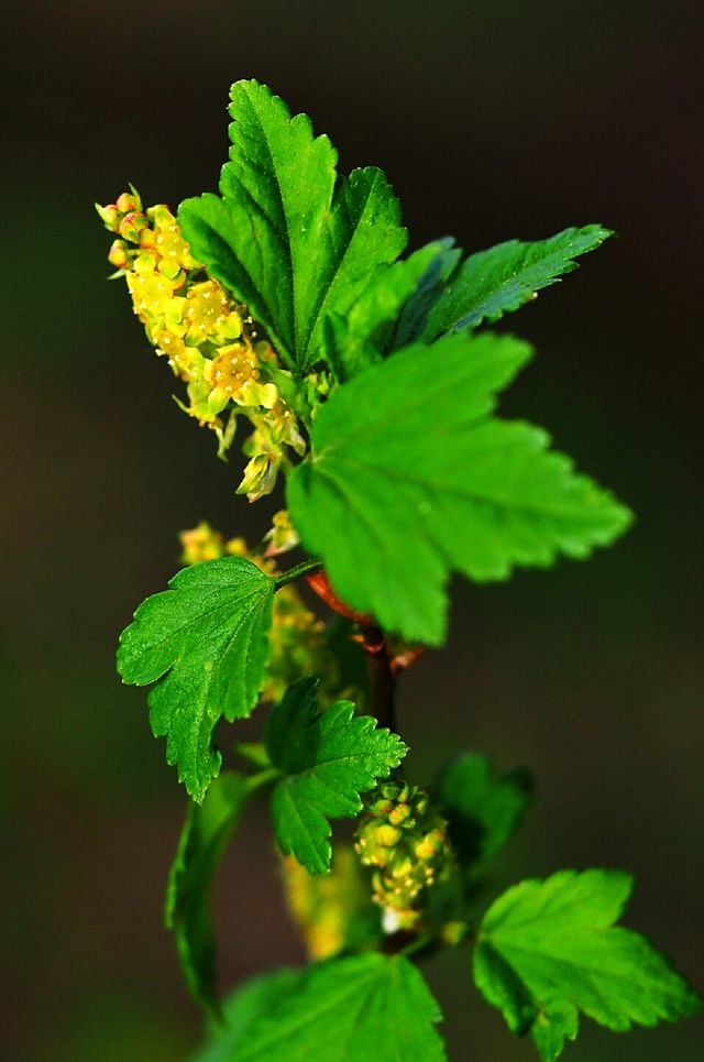 53d16f287861cc0e7bae0c9670ef65be