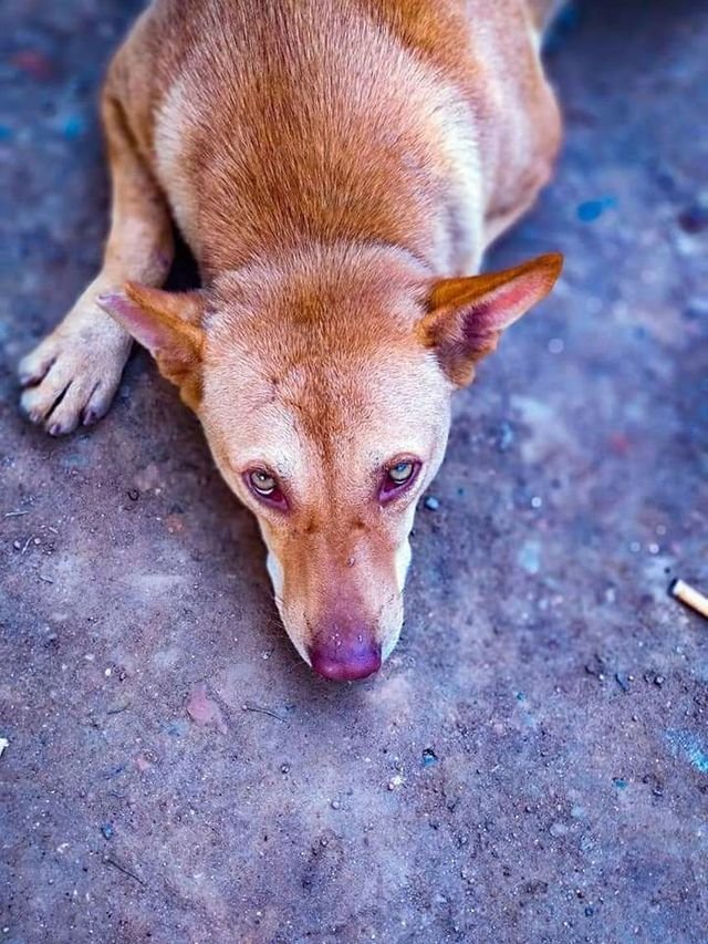 54b4888be2406e108b79afc0b53cb1d3