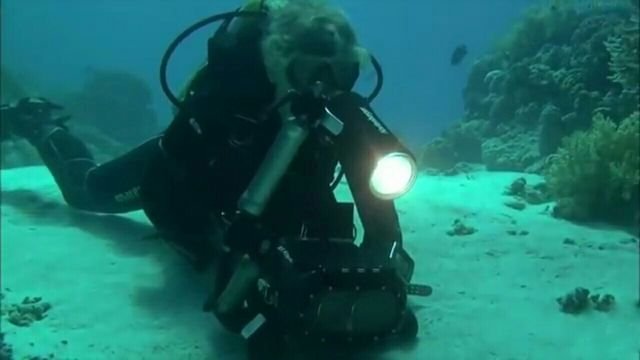 56650baf11c3f41f4dfa61cc2ae99c7a