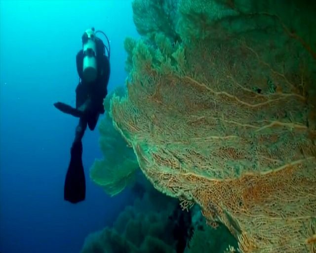 57fa1e86faf1609eef3bee3bb6796e2d