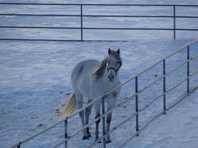 586dc78ee16a6e9601f3be29e701a0f7