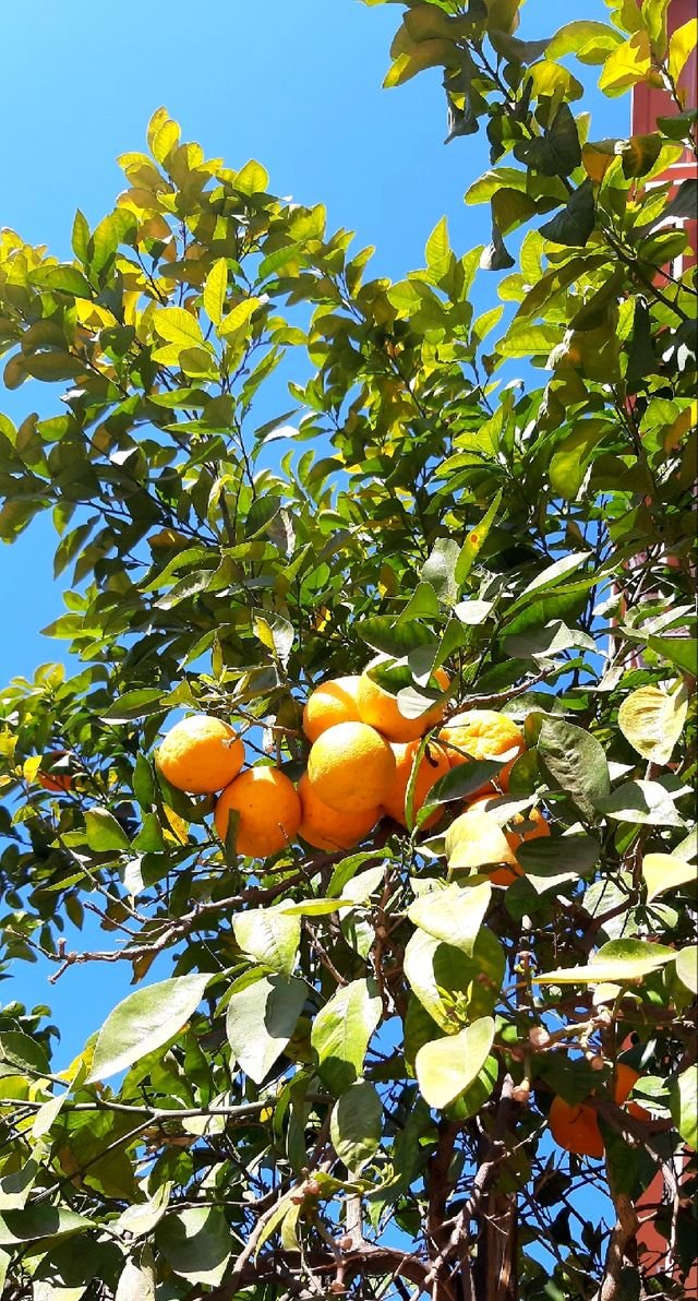 58bd67025c0b08824924f125838f0ac2