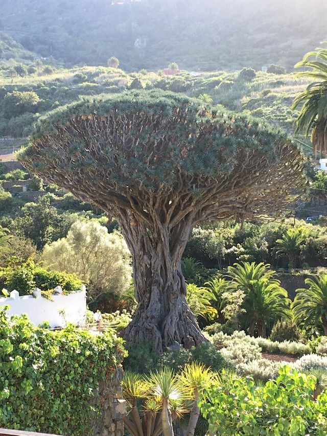 61279cb79d21db1b42aec1b4fda35223