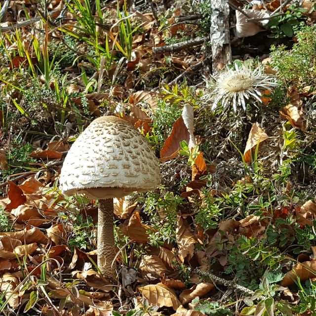 6491074c8784dcb51d53768167dfb582