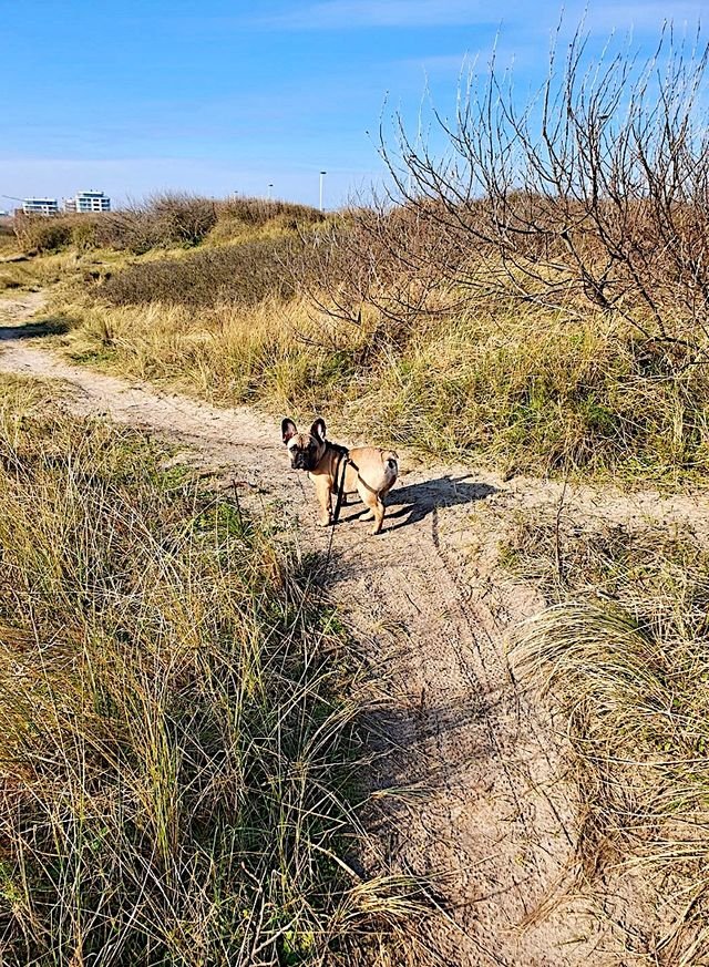 6b428749c91c3162f92e943dfdf2c4ac