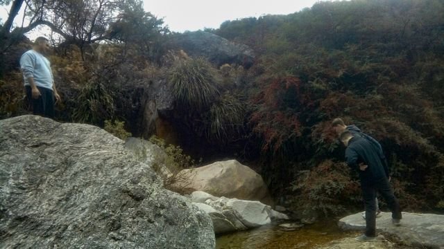 6cd3a20946dff532ad16a207964dd2b5