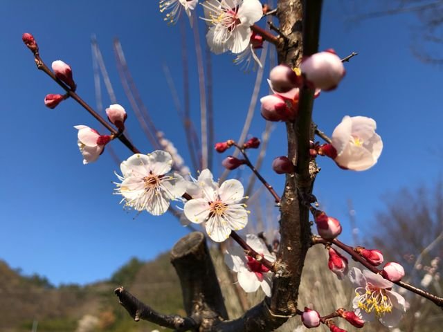 7030f895bfe9485c766437e551d7a851