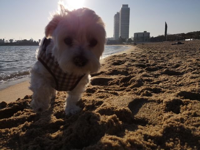 706243dab774f908ccdffb7f2575fe95