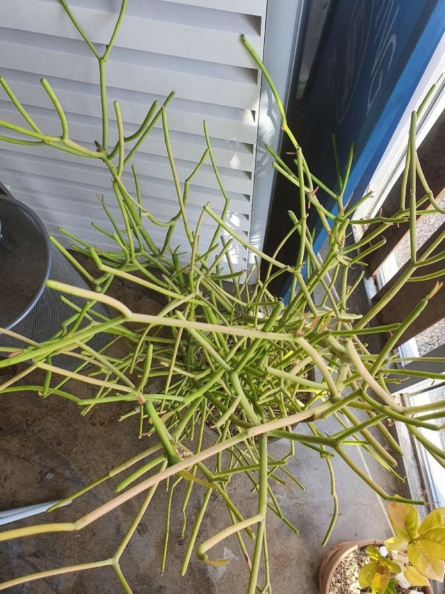 71a188207a5afb6400cde8b5e2e72aaa