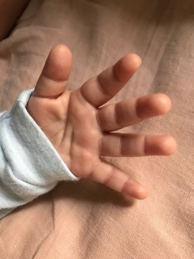 733451580e39dd557933d019e0a74ee0