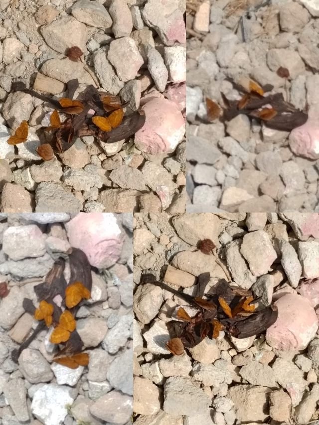 741d2ca19328ce7189aa1f33c82170f4