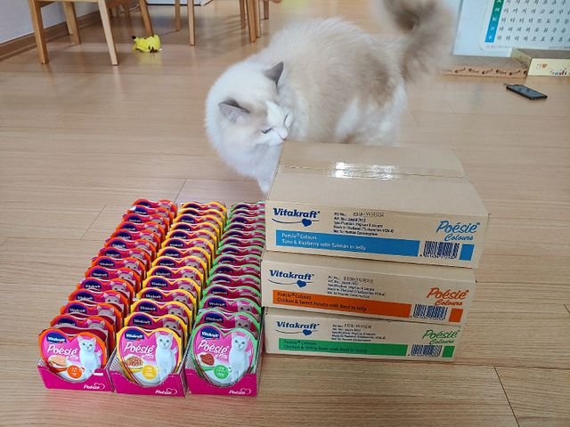 7834591e9ba1465721fd55ef38107f31