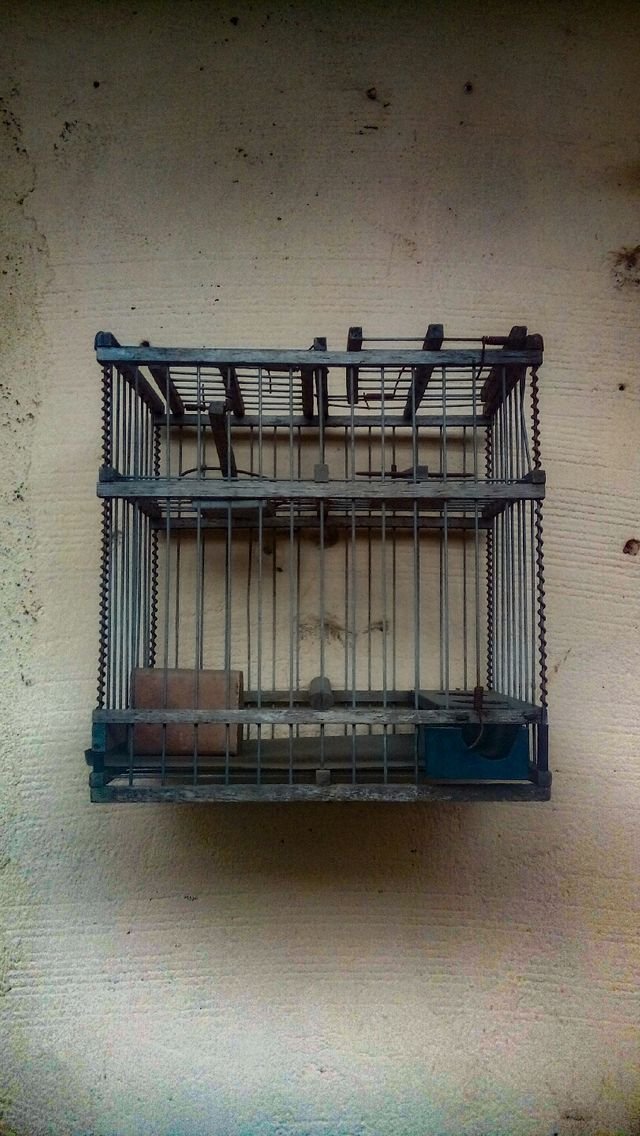 797025cba9678b488bd1766e0acd8399