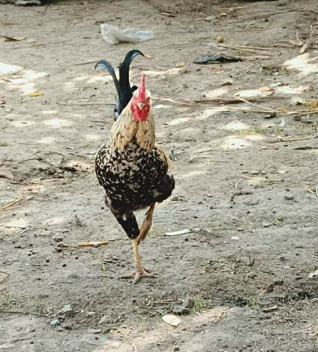 7cf125dd95bb9dd731905cbd3073440a