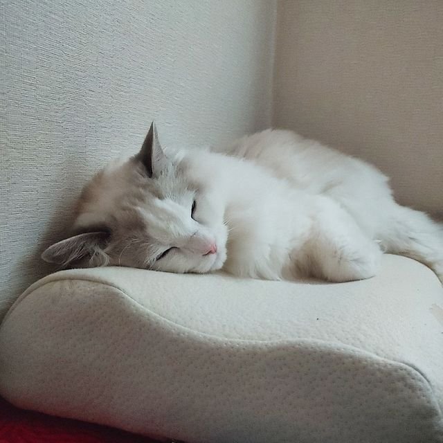 83efdad6c4c2c7bd9b0c4121ba5322b9