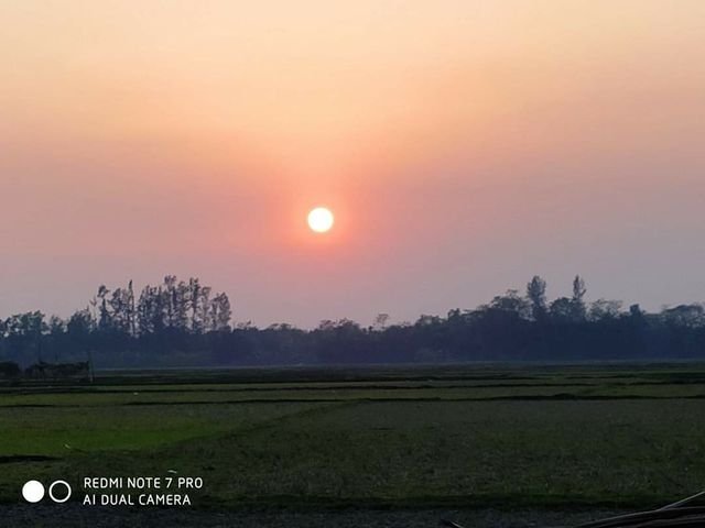 8623655f515eb3ddaa7c9e1cddede478