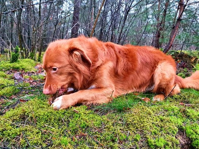 899bf945178322a018dba1a8d6f51e1a