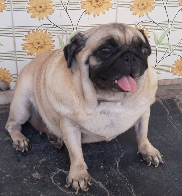 89ce22ad0567b762010760f4afaa0d4b