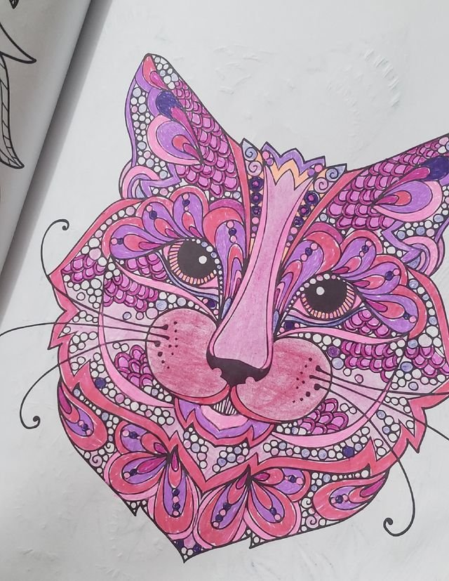 8b6ac59c02d64c25d1faec2e89aa4f6f