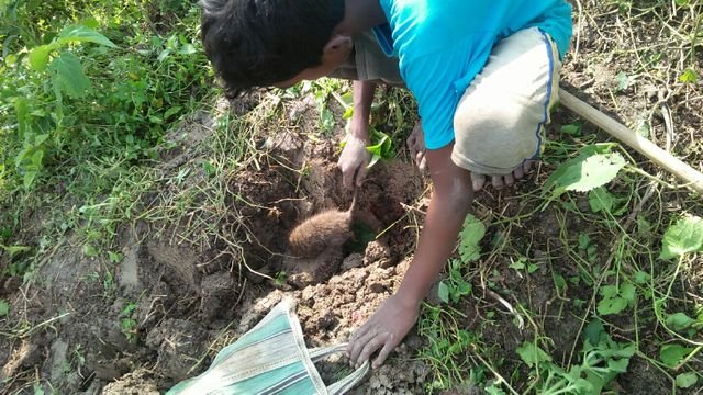 8f4f5a49148ca09c59ad85b4af4d4229