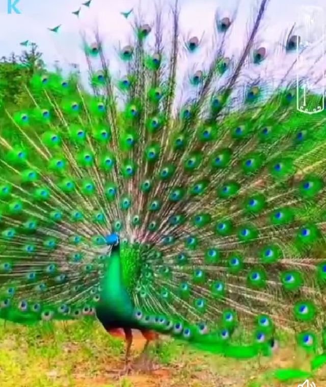 900460d3cec4e027cec69fc8da875224