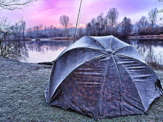 917d5be1dac49f9621cb0ea9d0597598